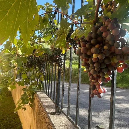 Casa With Sea View Semesterbostad