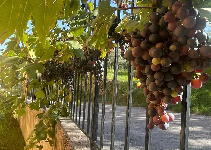 Casa With Sea View Feriehus