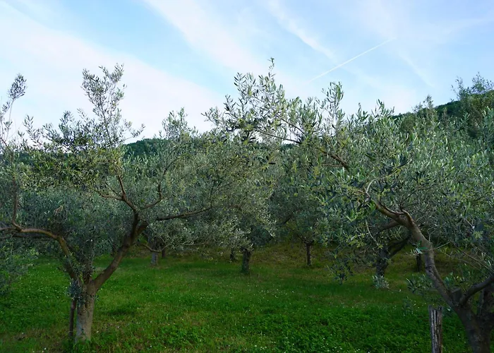 Casa With Sea View Semesterbostad