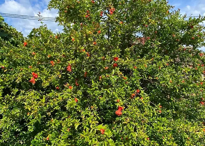 펜션 Casa With Sea View *